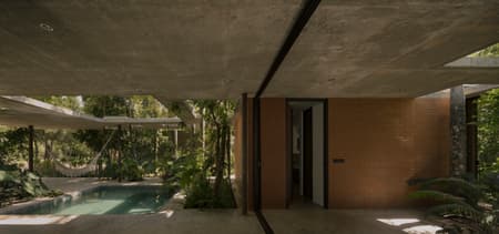 A Forest in the House